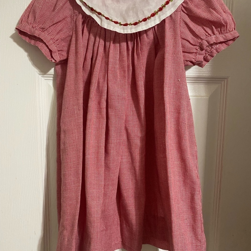 Chabre Gingham Bishop Dress - Picture 4 of 8